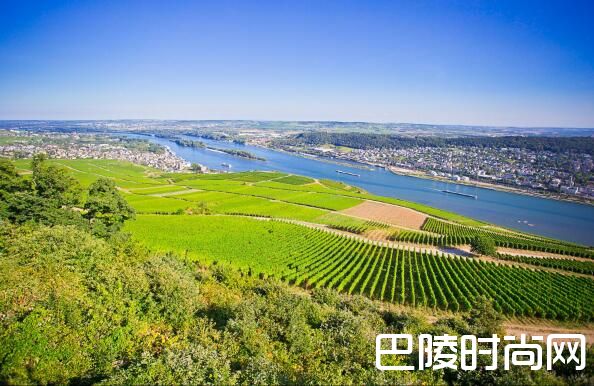 盘点世界著名的甜白产区