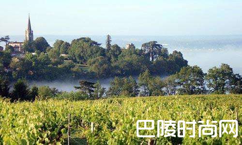 盘点世界著名的甜白产区