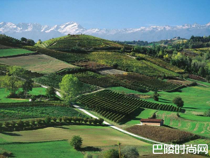 盘点世界著名的甜白产区