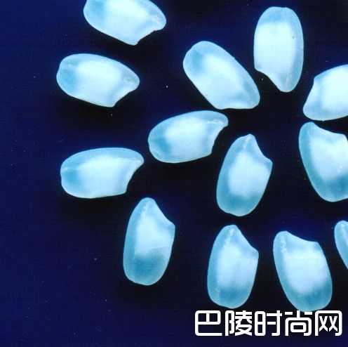 清酒界的康帝：十四代