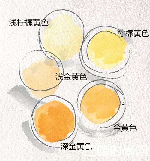 观酒察色,葡萄酒入门so easy 观酒察色,葡萄酒入门so easy