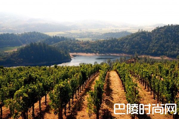 美国葡萄酒历史上的几个“第一” 美国葡萄酒历史上的几个“第一”