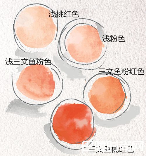 观酒察色,葡萄酒入门so easy 观酒察色,葡萄酒入门so easy