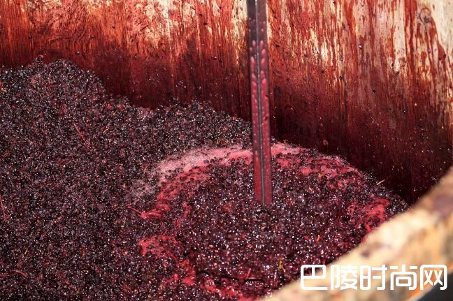从面包发酵看葡萄酒发酵