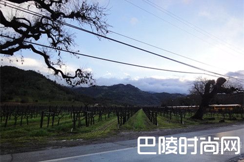 加州的风土为何适合葡萄种植？