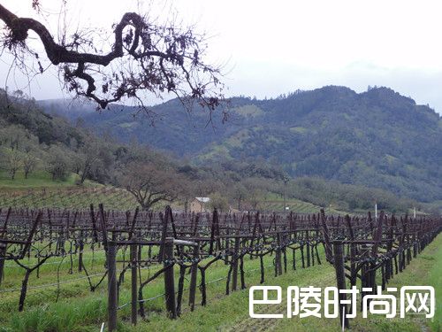 加州的风土为何适合葡萄种植？