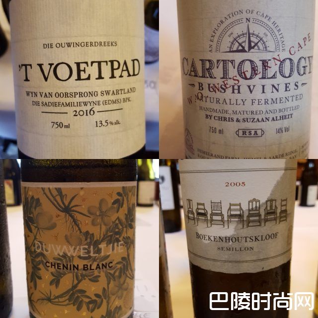 南非老藤葡萄树保护项目开始实施