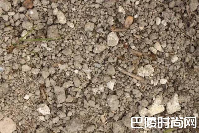 农药威胁着香槟区的水质 农药威胁着香槟区的水质