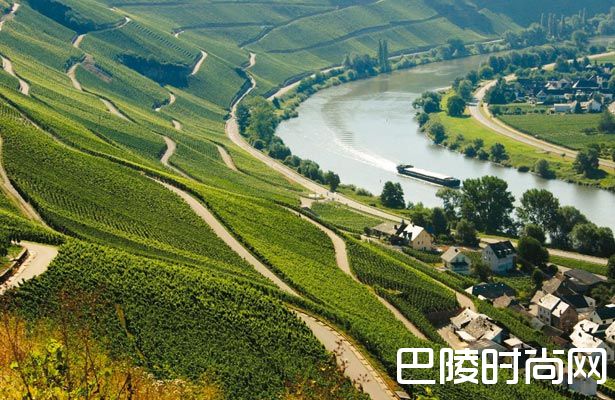 浅谈德国各大产区的GG酒 浅谈德国各大产区的GG酒