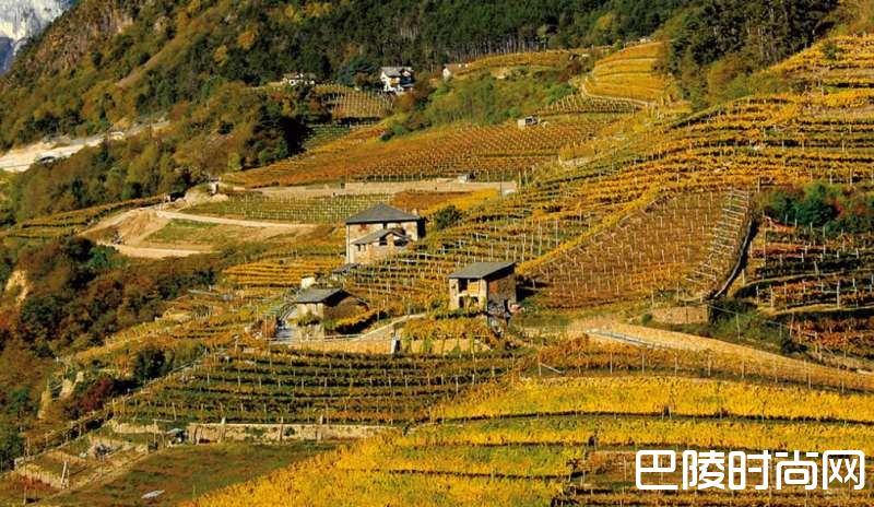 遇见特伦托——意大利的下一个起泡酒之星