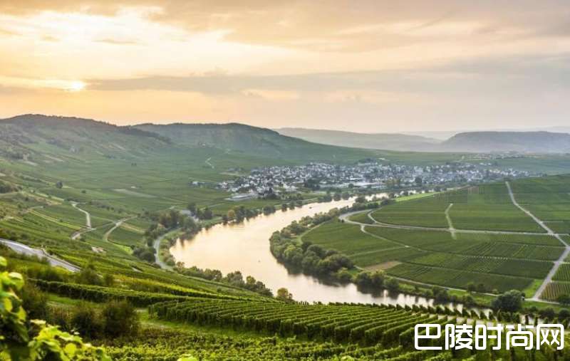 浅谈德国各大产区的GG酒