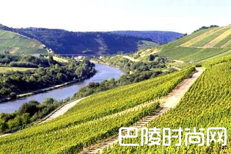 浅谈德国各大产区的GG酒 浅谈德国各大产区的GG酒