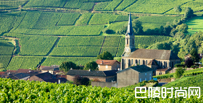 揭开小银杯骑士会的神秘面纱