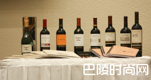 干露酒庄——南美霸主演绎的传奇故事