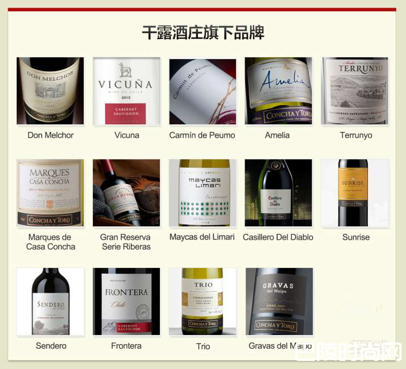 干露酒庄——南美霸主演绎的传奇故事