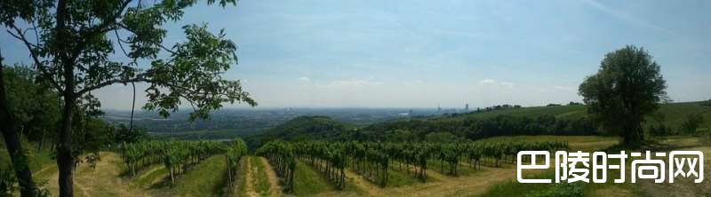 世界九大最不可思议葡萄园