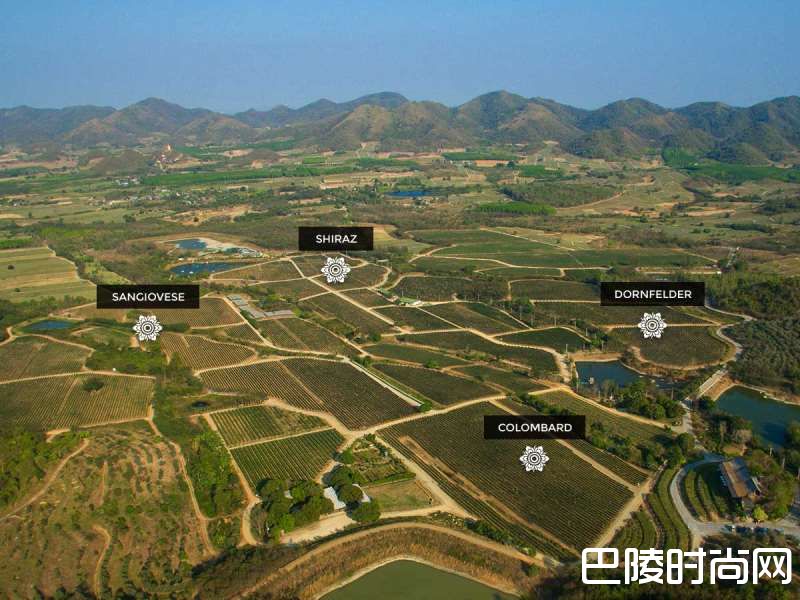 世界九大最不可思议葡萄园 世界九大最不可思议葡萄园