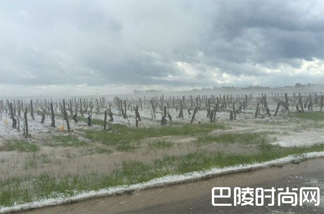 冰雹风暴袭击博若莱 冰雹风暴袭击博若莱