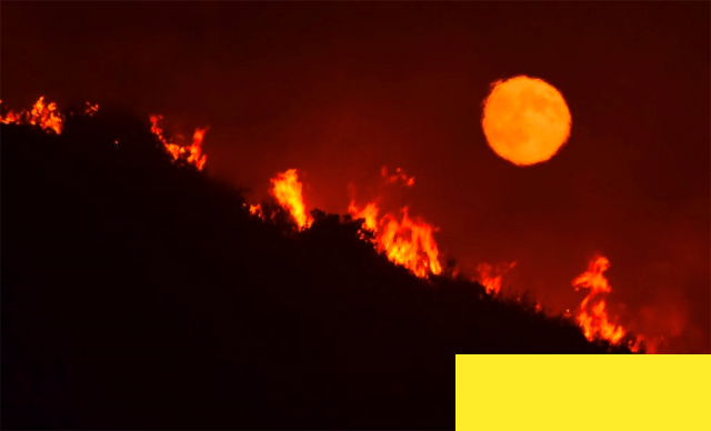 大火肆虐加州附近葡萄园 大火肆虐加州附近葡萄园