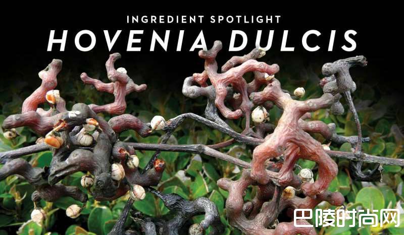 学会这10招,宿醉无烦恼 学会这10招,宿醉无烦恼