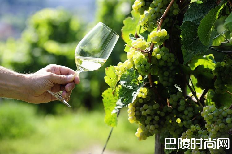 9个问题弄懂雷司令