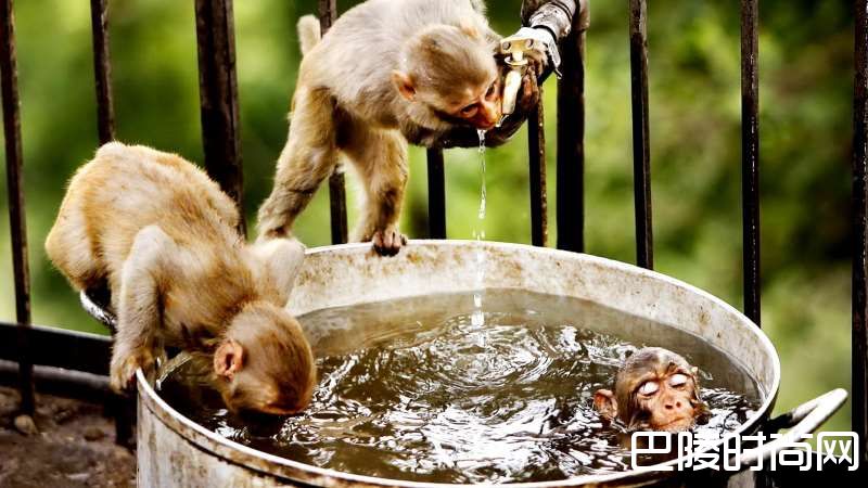 学会这10招,宿醉无烦恼 学会这10招,宿醉无烦恼