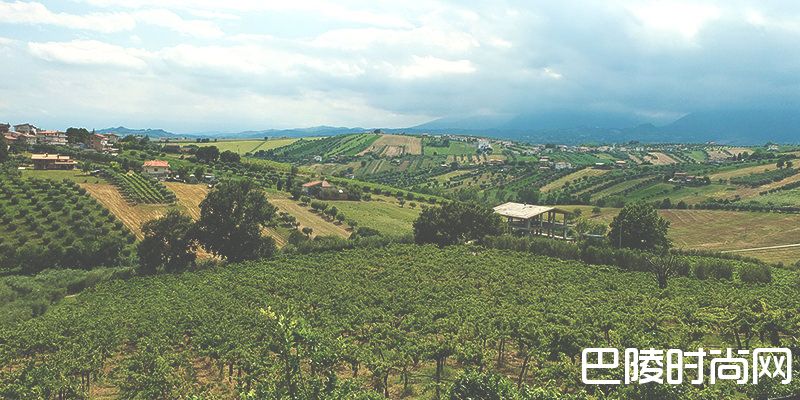 到罗马旅游？这三个葡萄酒产区不容错过！