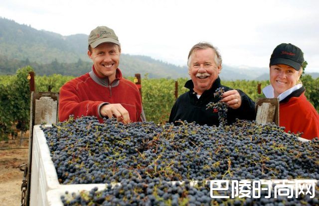 红酒世界一周资讯回顾:7月10日至7月14日 红酒世界一周资讯回顾:7月10日至7月14日