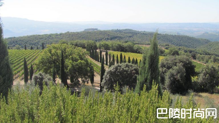 比利时投资商收购意大利波吉安蒂克酒庄 比利时投资商收购意大利波吉安蒂克酒庄