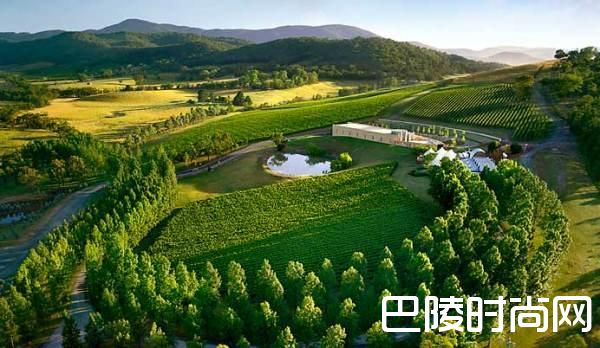 纳帕酒乡列车,开启特色美酒之旅 纳帕酒乡列车,开启特色美酒之旅