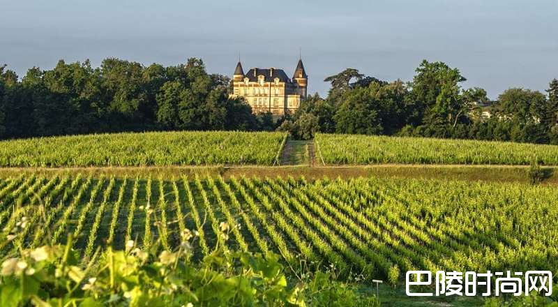 苏玳及巴萨克一级庄名录 苏玳及巴萨克一级庄名录