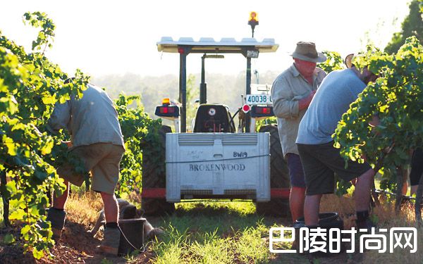 猎人谷没有猎人