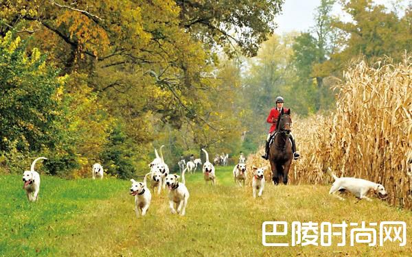 猎人谷没有猎人 猎人谷没有猎人