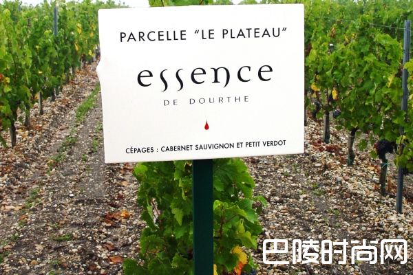 杜夫精华是什么？