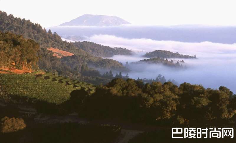 不一样的加州膜拜酒，开疆拓土的哈兰酒庄