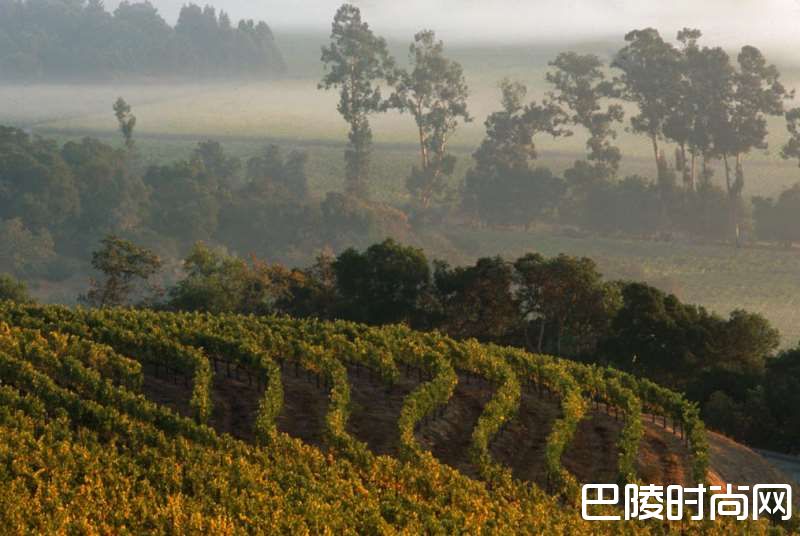 不一样的加州膜拜酒，开疆拓土的哈兰酒庄