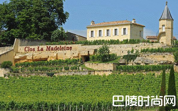莫意克家族收购玛德莱娜酒庄和玛南嘉芙丽酒庄 莫意克家族收购玛德莱娜酒庄和玛南嘉芙丽酒庄