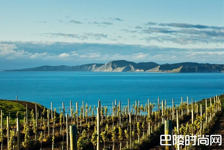 新西兰重要产区申请地理标志标签认证 新西兰重要产区申请地理标志标签认证