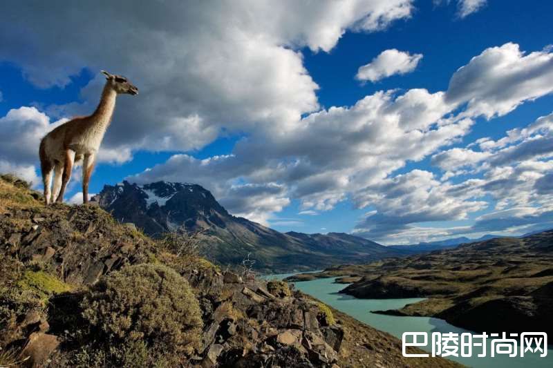 中国前10大葡萄酒进口国，你知道哪些？