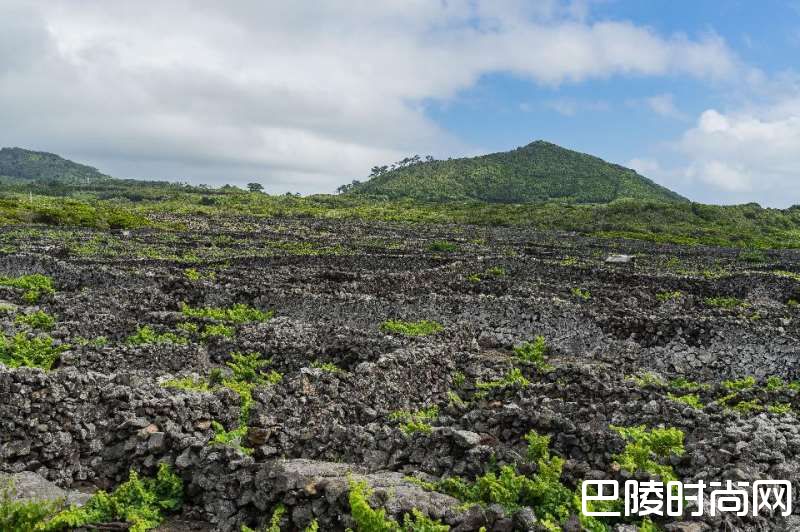 葡萄酒之岛皮科——大西洋中的璀璨明珠