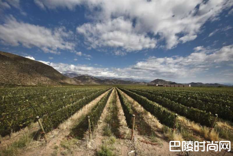 炎炎盛夏，不如去南半球喝酒度假吧！