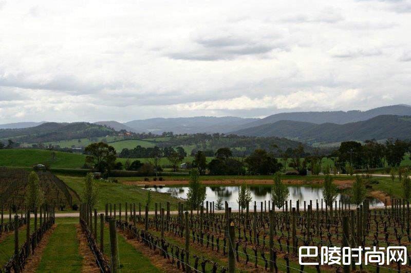 炎炎盛夏，不如去南半球喝酒度假吧！