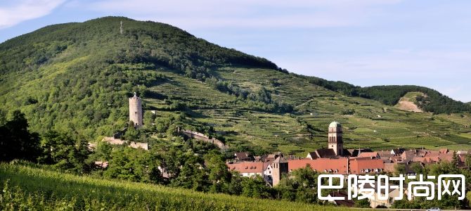 阿尔萨斯特级园中的那些“种子选手”