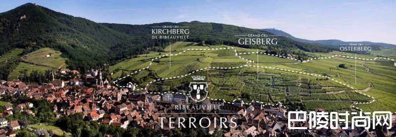 阿尔萨斯特级园中的那些“种子选手”