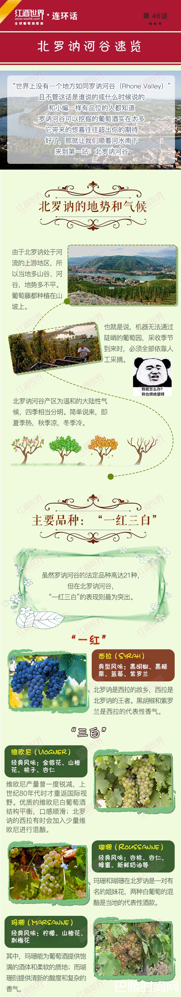红酒世界连环话： 北罗讷河谷速览