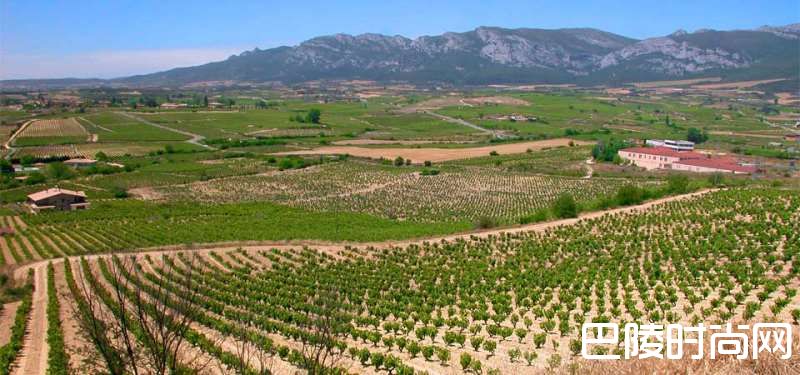 低调而不失腔调，卢埃达你真是美了一生