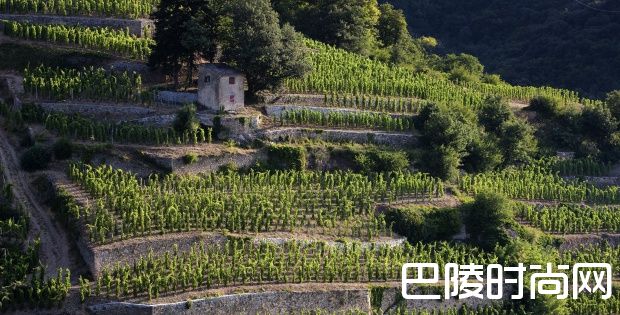 科尔纳斯：北罗讷被遗忘的宝藏