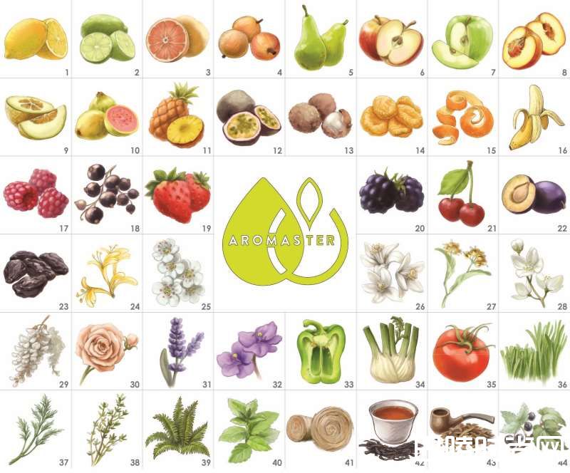 吃葡萄不吐葡萄皮?那酿葡萄酒呢? 吃葡萄不吐葡萄皮?那酿葡萄酒呢?