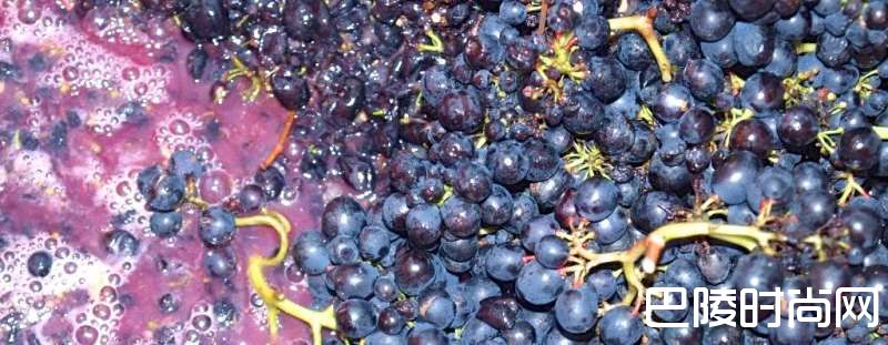 吃葡萄不吐葡萄皮?那酿葡萄酒呢? 吃葡萄不吐葡萄皮?那酿葡萄酒呢?