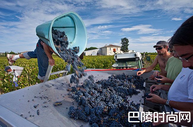 有关花堡的那些事儿